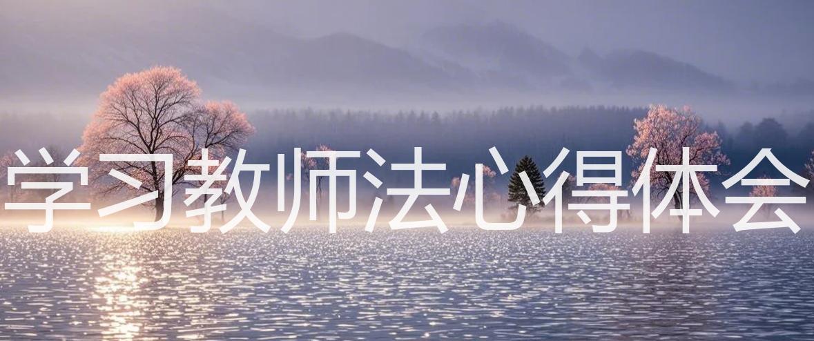 学习教师法心得体会_15篇精选_双语翻译