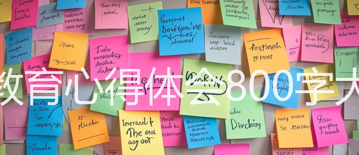 国防教育心得体会800字大学生
