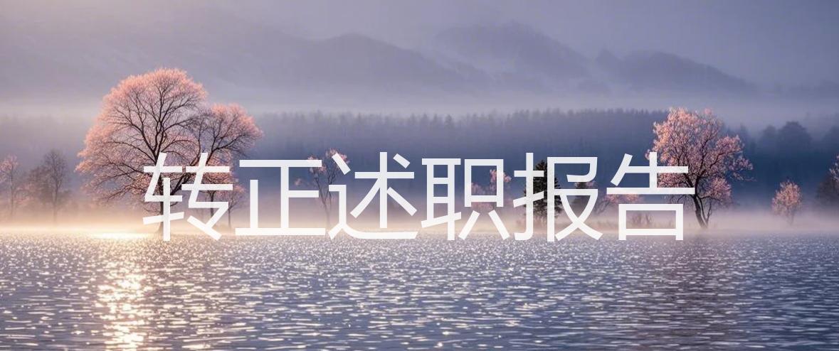 转正述职报告_精选
